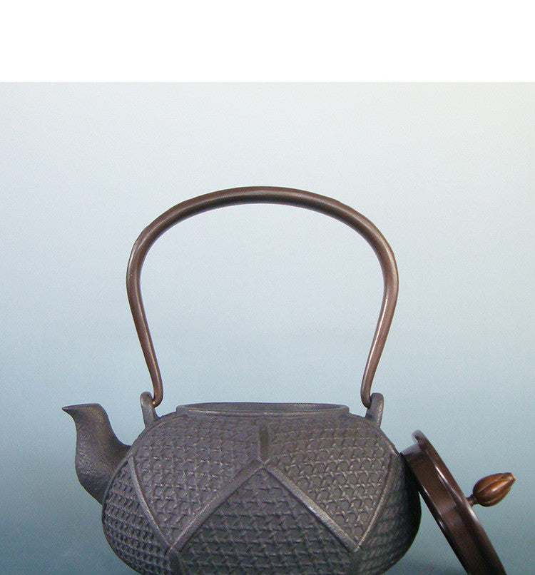 Handcrafted Cast Iron Tea Pot