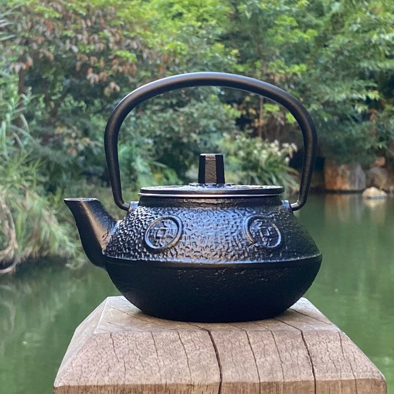 Japanese Cast Iron Teapot