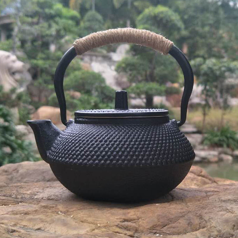 Japanese Cast Iron Teapot