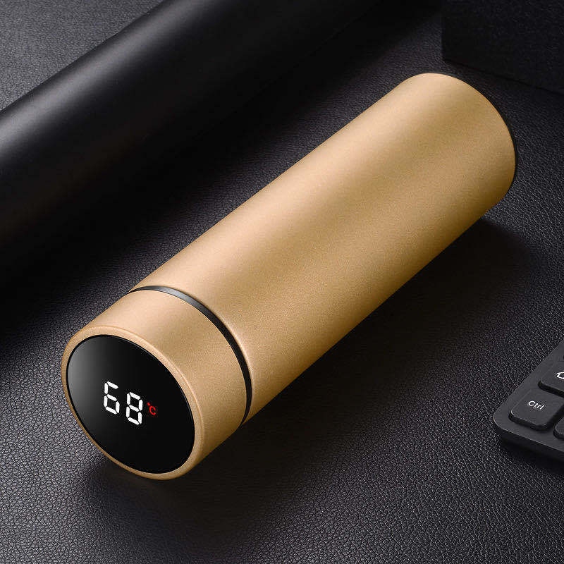 Stainless Steel Vacuum Insulated Travel Water Bottle
