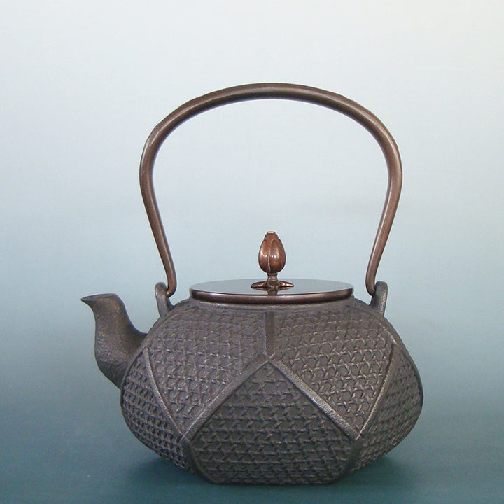 Handcrafted Cast Iron Tea Pot