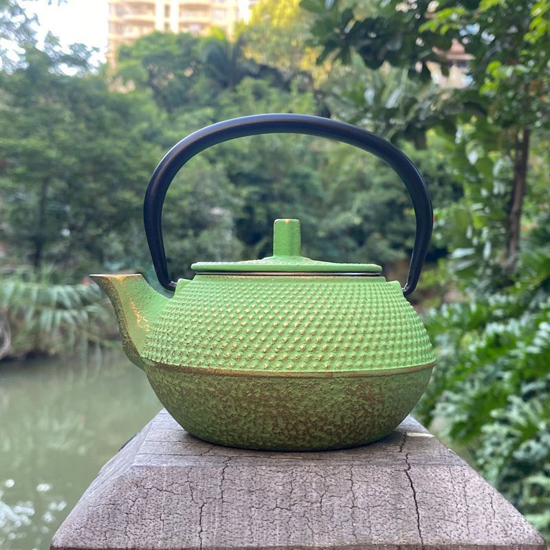 Japanese Cast Iron Teapot