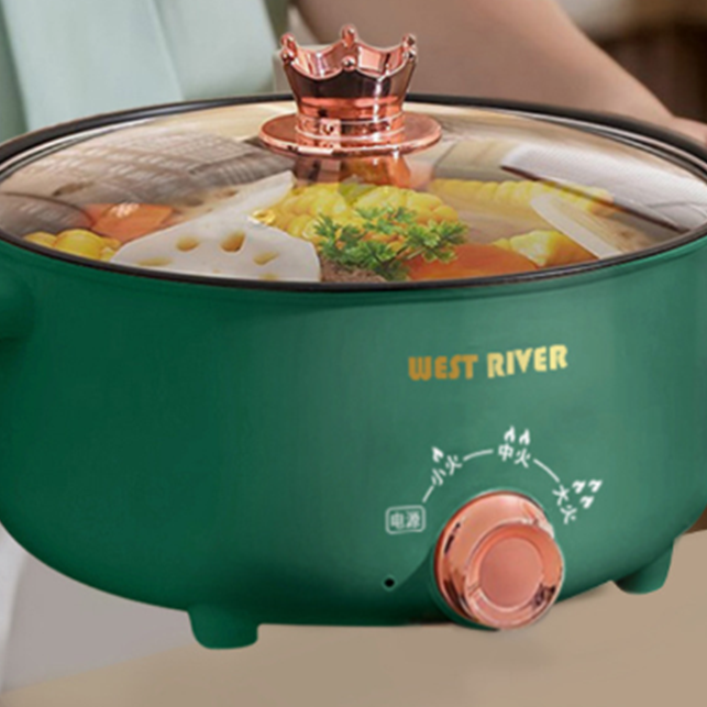 Electric Pressure Cooker