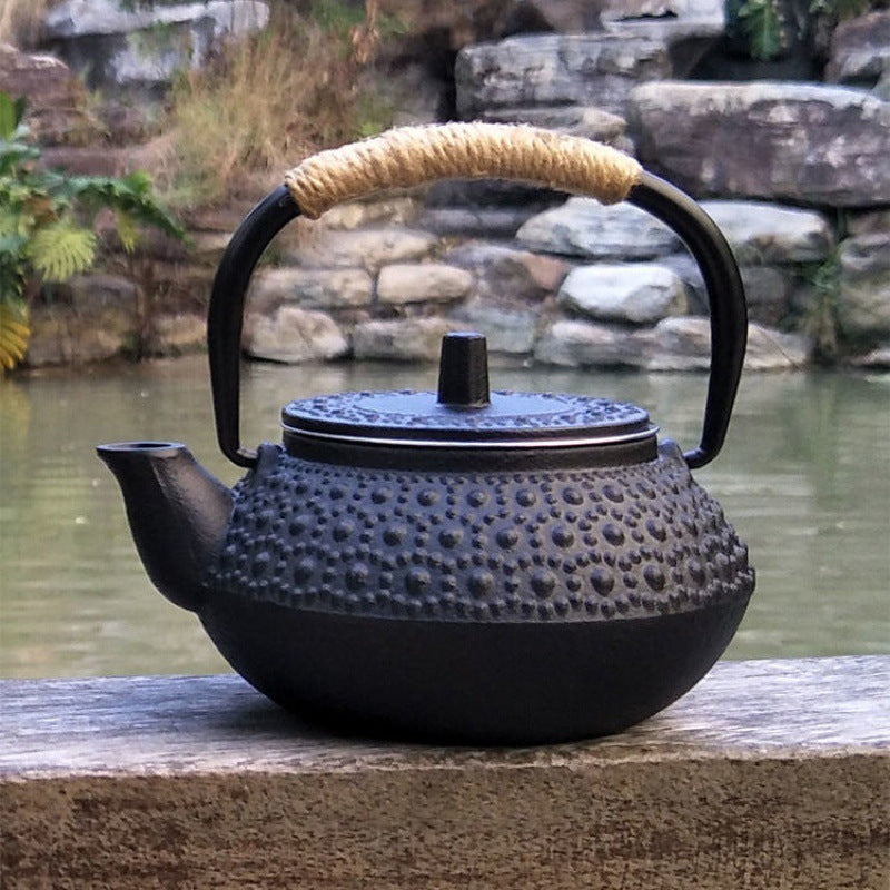 Japanese Cast Iron Teapot