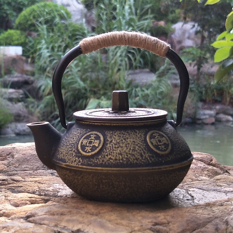Japanese Cast Iron Teapot