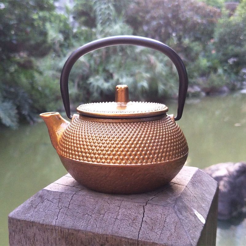 Japanese Cast Iron Teapot