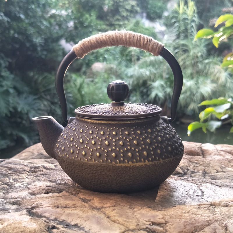 Japanese Cast Iron Teapot