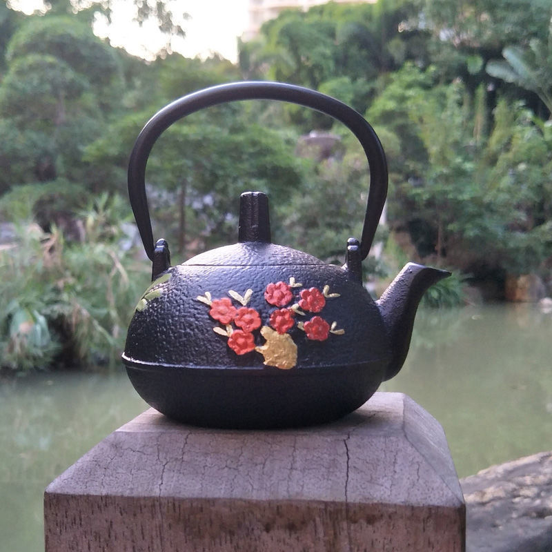 Japanese Cast Iron Teapot